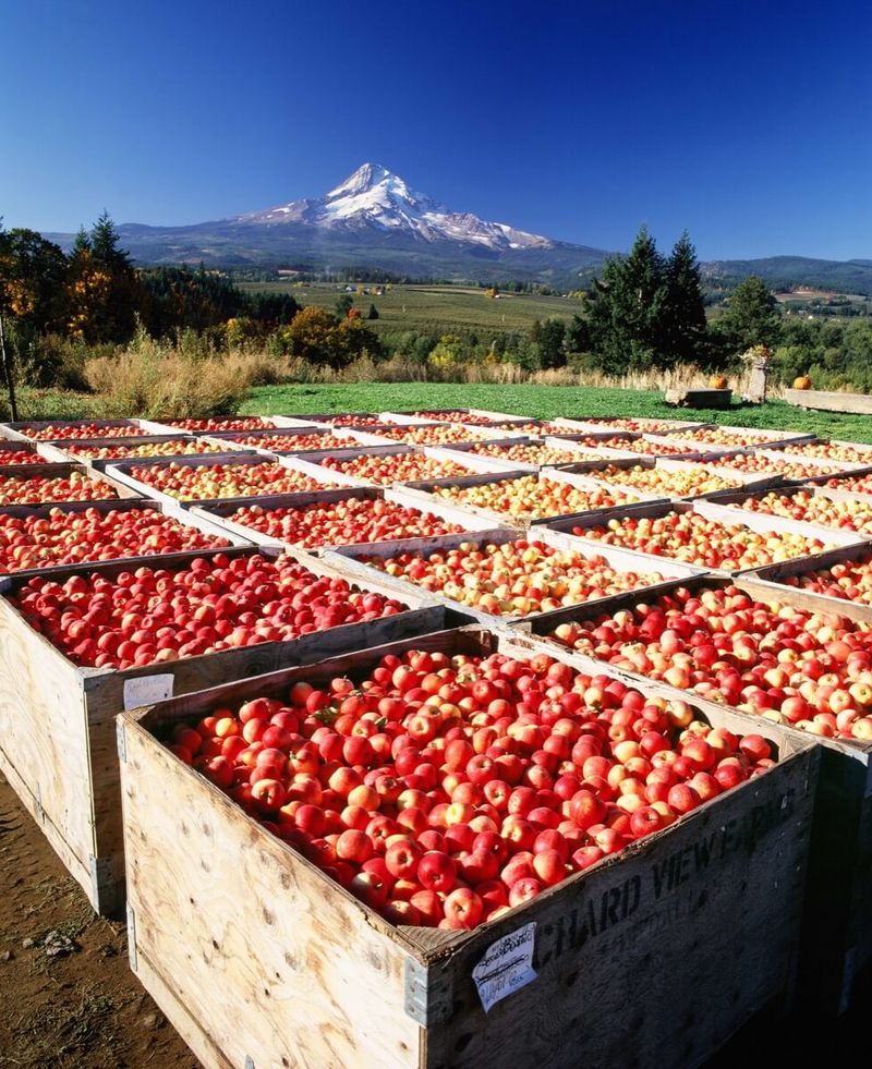 Draper Girls Country Farm — Parkdale, OR