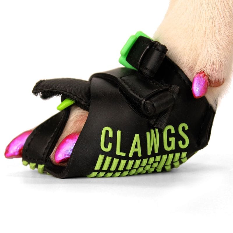 Clawgs V3 — Best for Dew Claw Protection