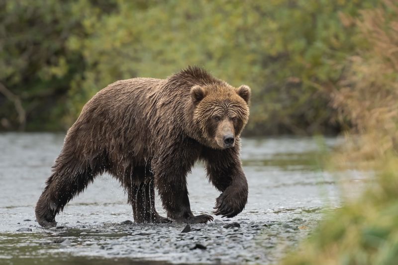 Kenai Peninsula