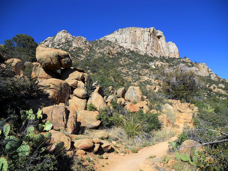 Prescott Mountain Country Surprise