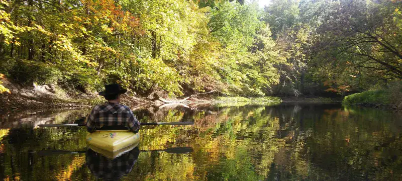 Wildlife Encounters Along Leaf-Lined Shores