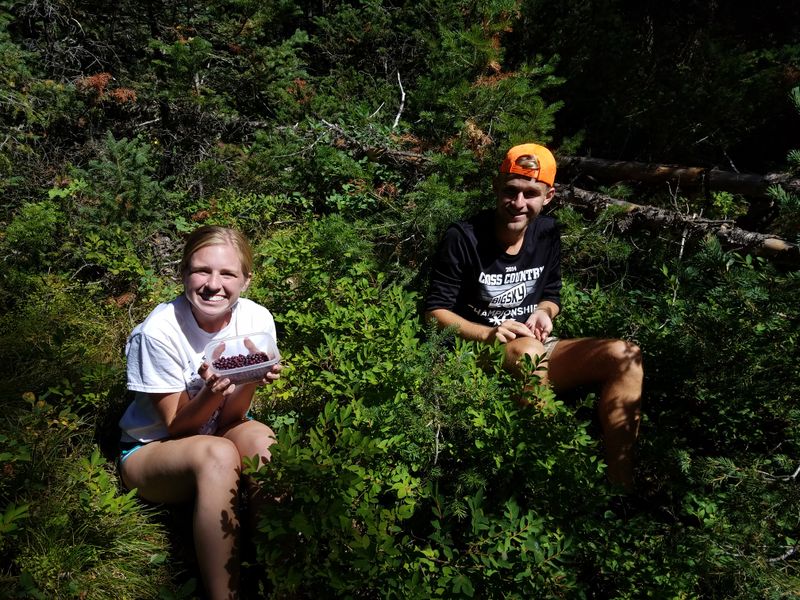 Leverich Canyon Trail, near Bozeman