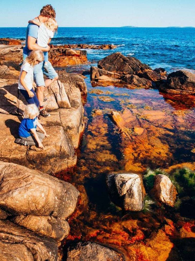 Wonderland Trail — Acadia National Park, ME