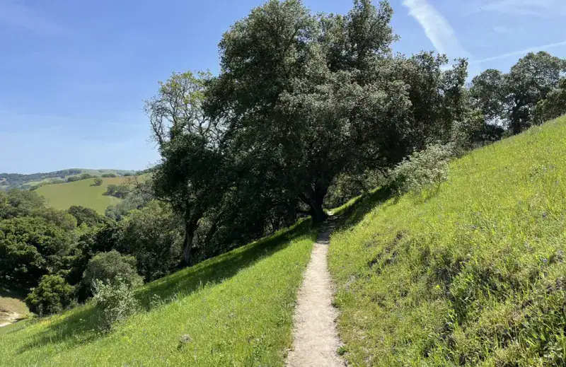 Pinole Ridge Trail (East Bay Hills, Briones Area)