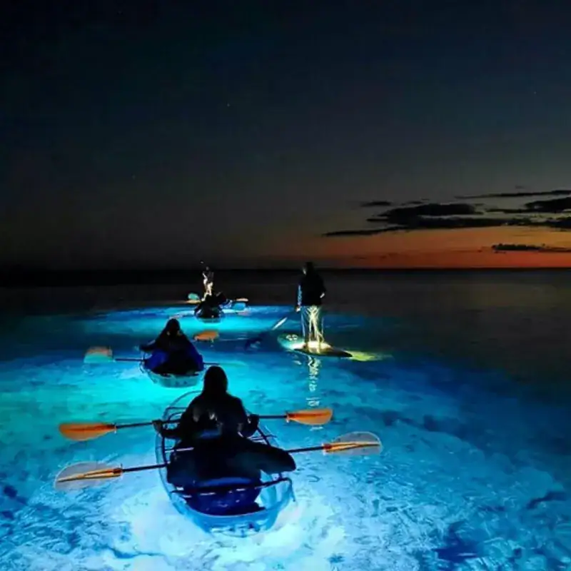 Perfect Timing for Nature's Light Show