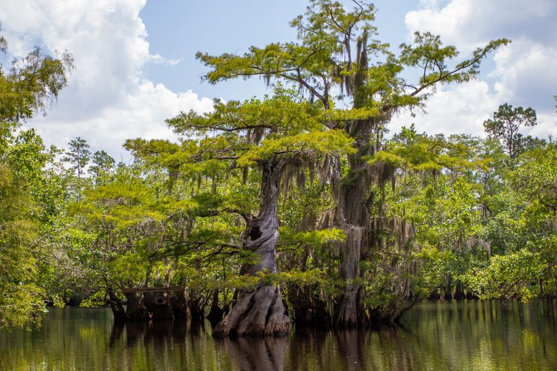 Paddle Through Pristine Wilderness Waters
