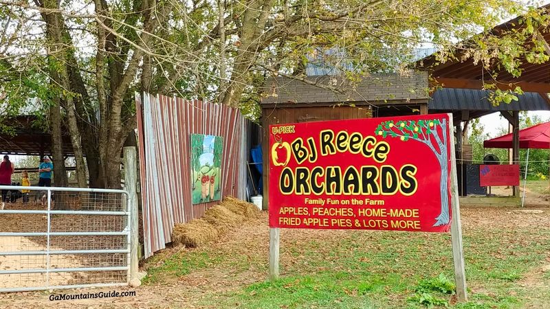 B.J. Reece Orchards — Ellijay