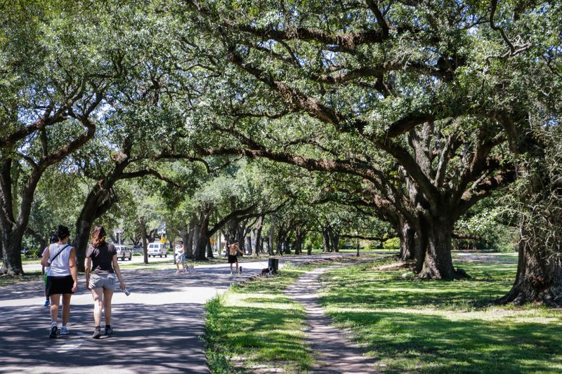 Audubon Park & Uptown
