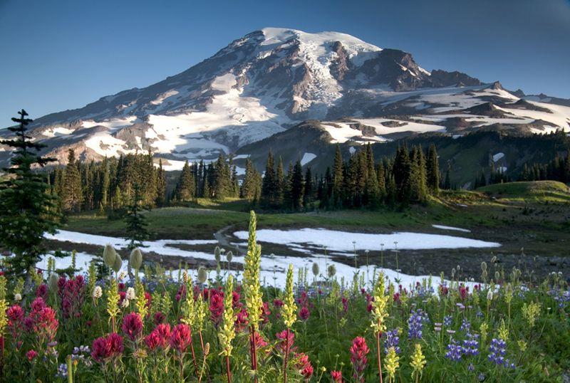 Wonderland Trail, Mount Rainier National Park (WA)