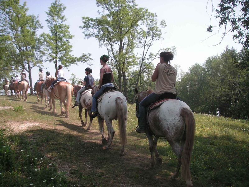 Horseback Adventures Through 200-Acre Mountain Farm Settings
