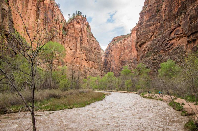 Riverside Walk — Zion National Park, UT