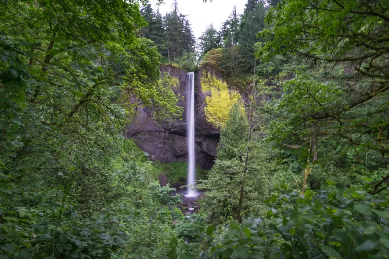 Latourell Falls Loop — Guy W. Talbot State Park, OR