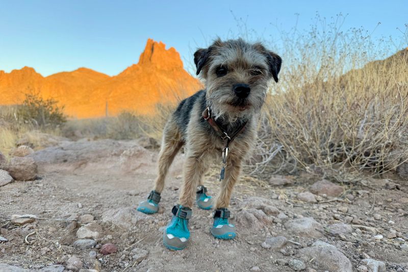 Ruffwear Grip Trex — Best for Hiking & Adventure