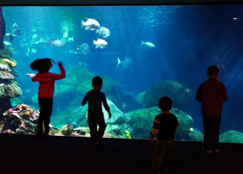 Tennessee Aquarium — Chattanooga, TN