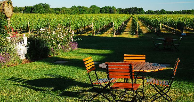 Long Island’s North Fork: Bordeaux on the Atlantic
