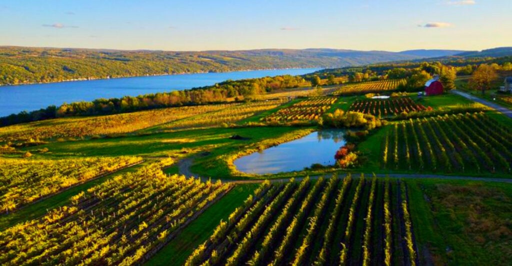 New York’s Lesser-Known Wine Country That’s Challenging Napa’s Fame