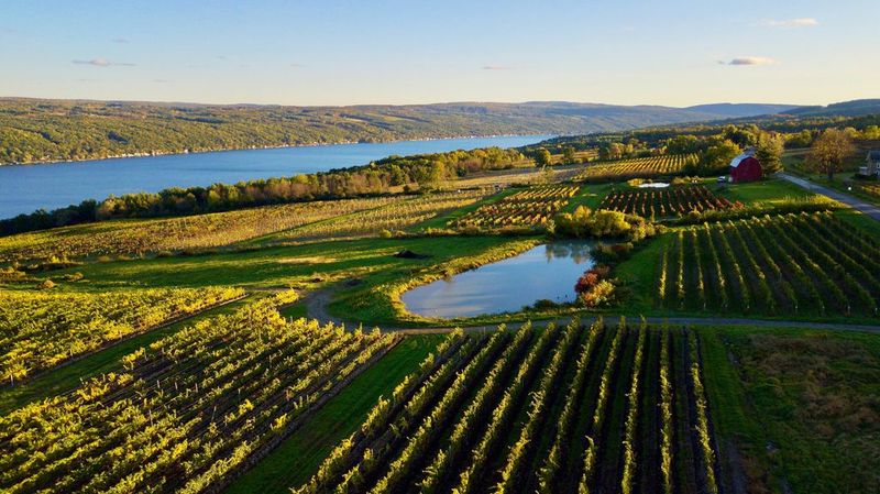 Finger Lakes: Riesling Royalty in the Northeast