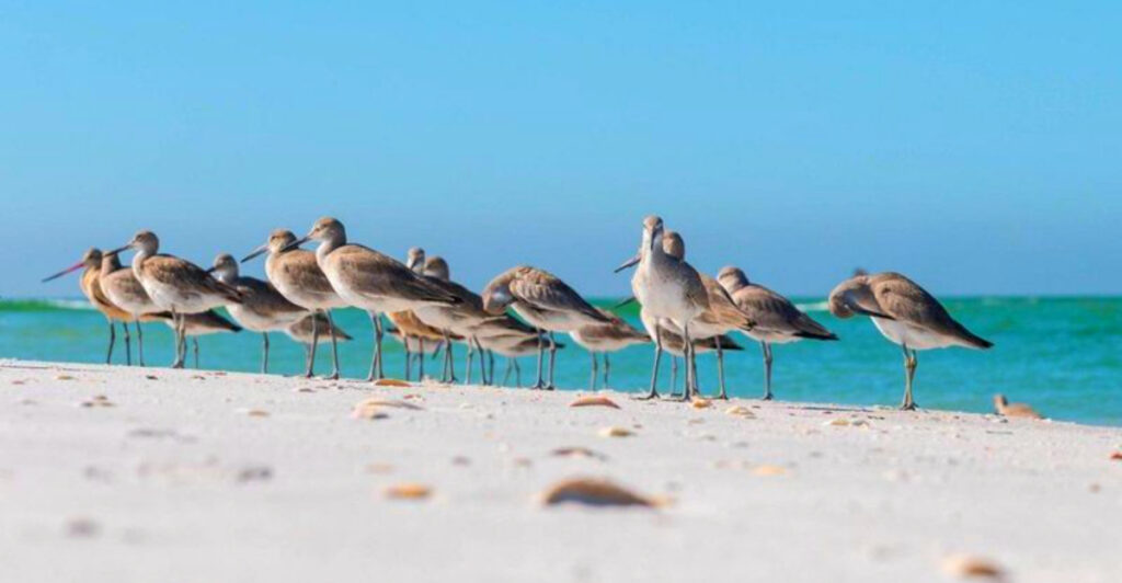 No Cars, No Stress: 10 Barrier-Island Escapes Made for Biking