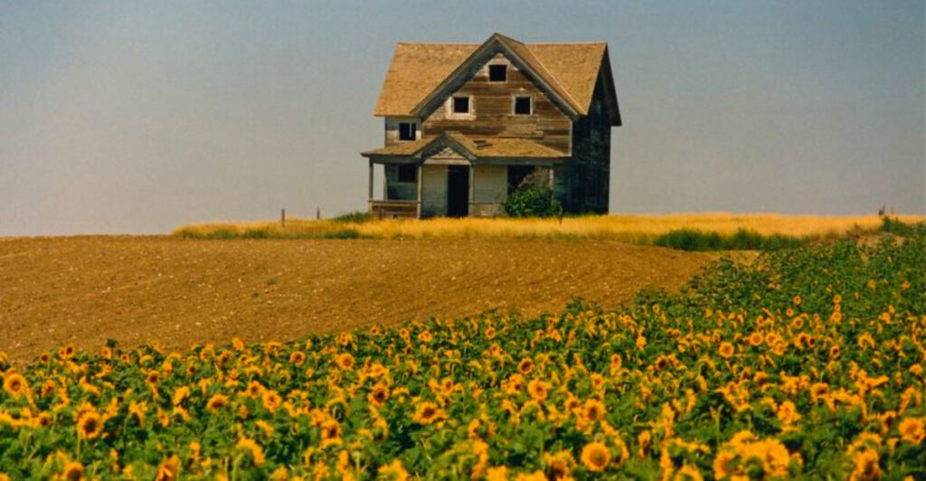 North Dakota, between Jamestown and Devils Lake: A hidden town where endless sunflower fields turn golden each autumn.