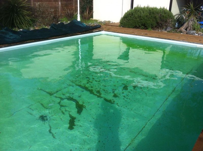 Slimy Pool Surfaces