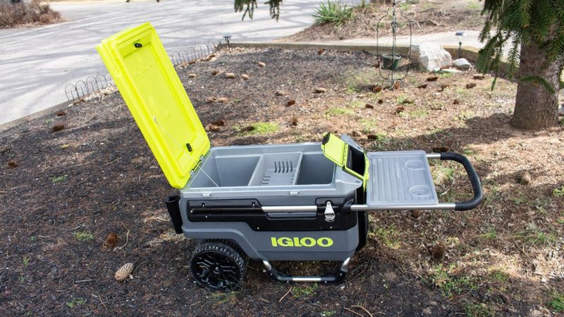 KONG 70 Quart Cooler