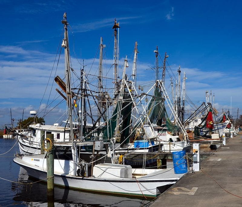 Discover Maritime Magic at the Working Waterfront