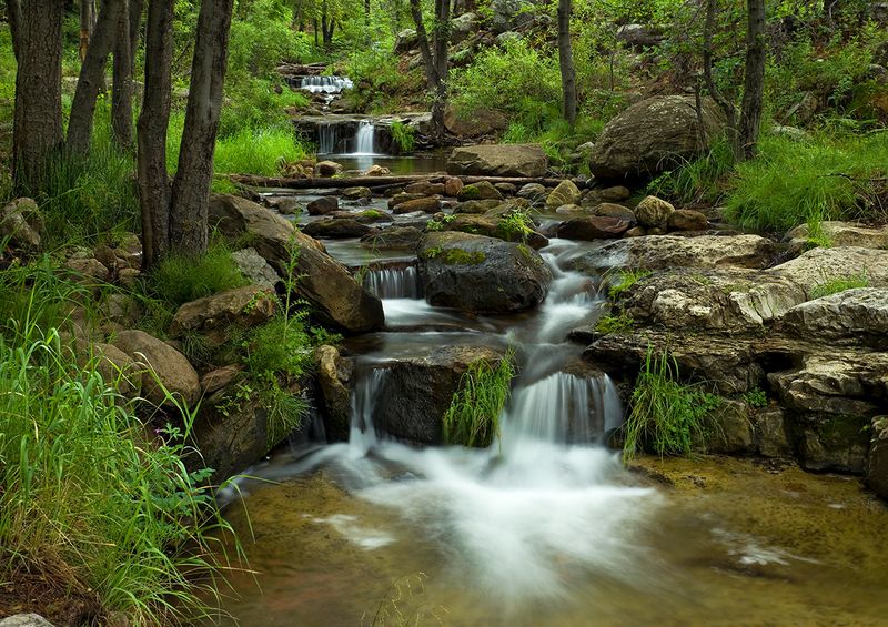Horton Creek Trail (Tonto National Forest, near Payson)