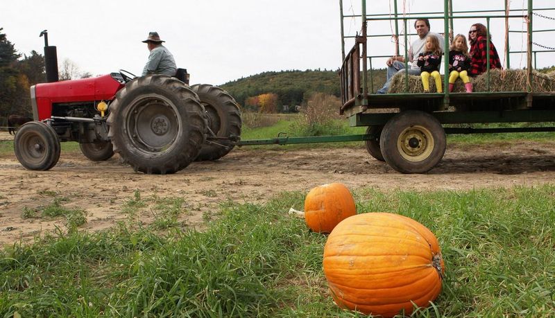 Weekend Tractor Hayrides Through Scenic Countryside