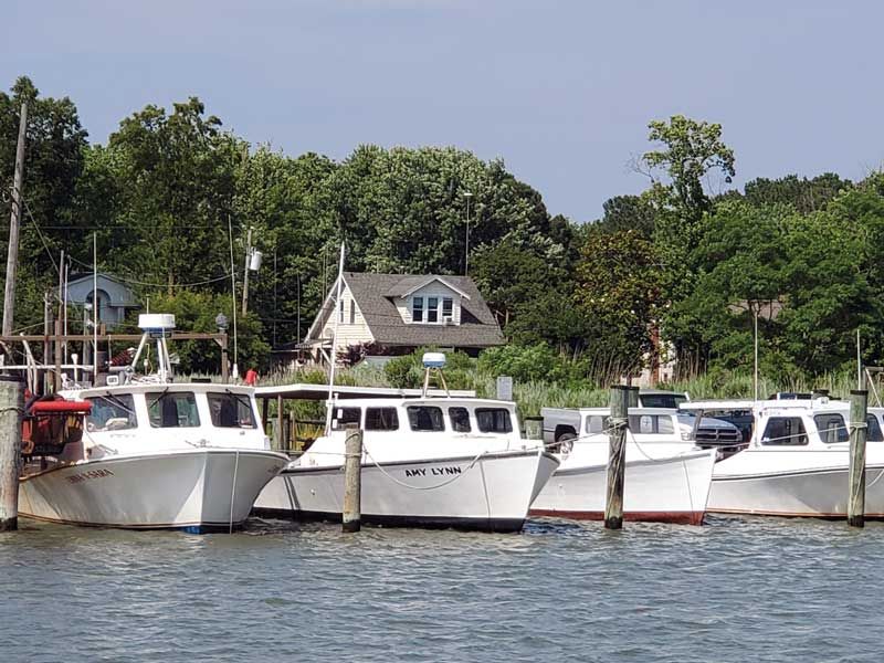 Tilghman Island, Maryland (Chesapeake Bay)