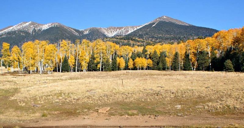 Flagstaff, Arizona
