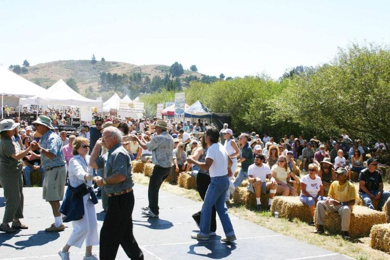 Annual Art & Wine Festivals