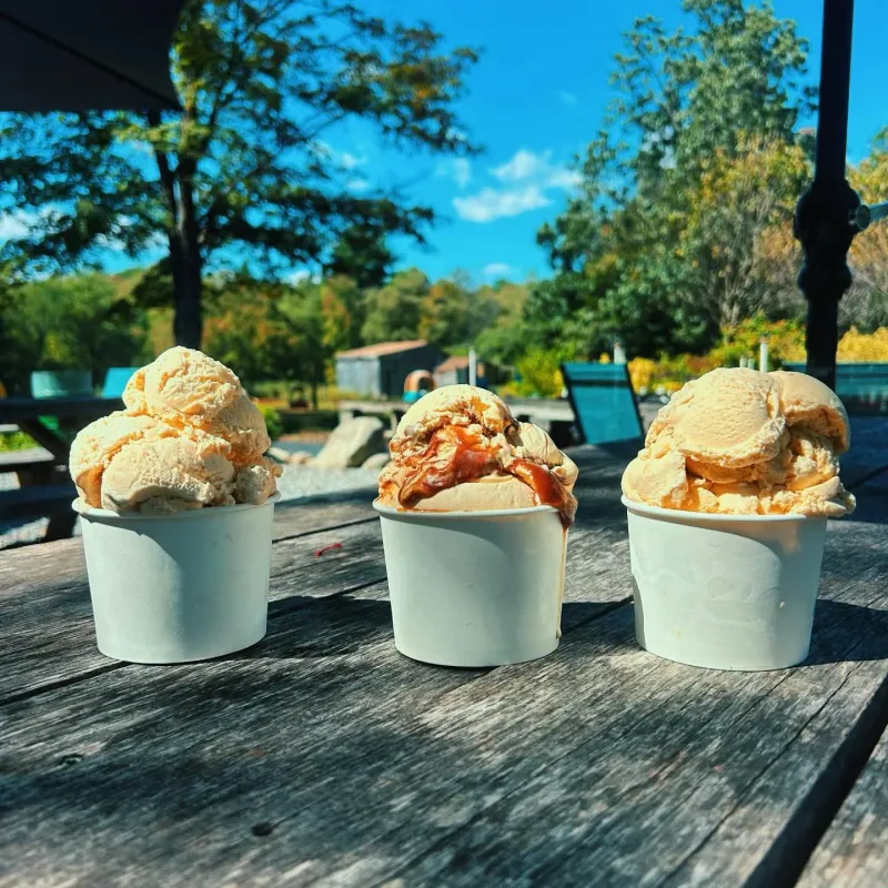 Pumpkin Ice-Cream Flavors at Ferris Acres Creamery (Newtown, CT)