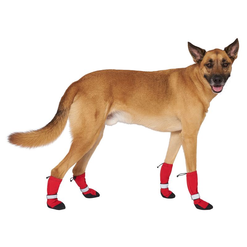 Canada Pooch Soft Shield Boots — Best for Everyday Wear
