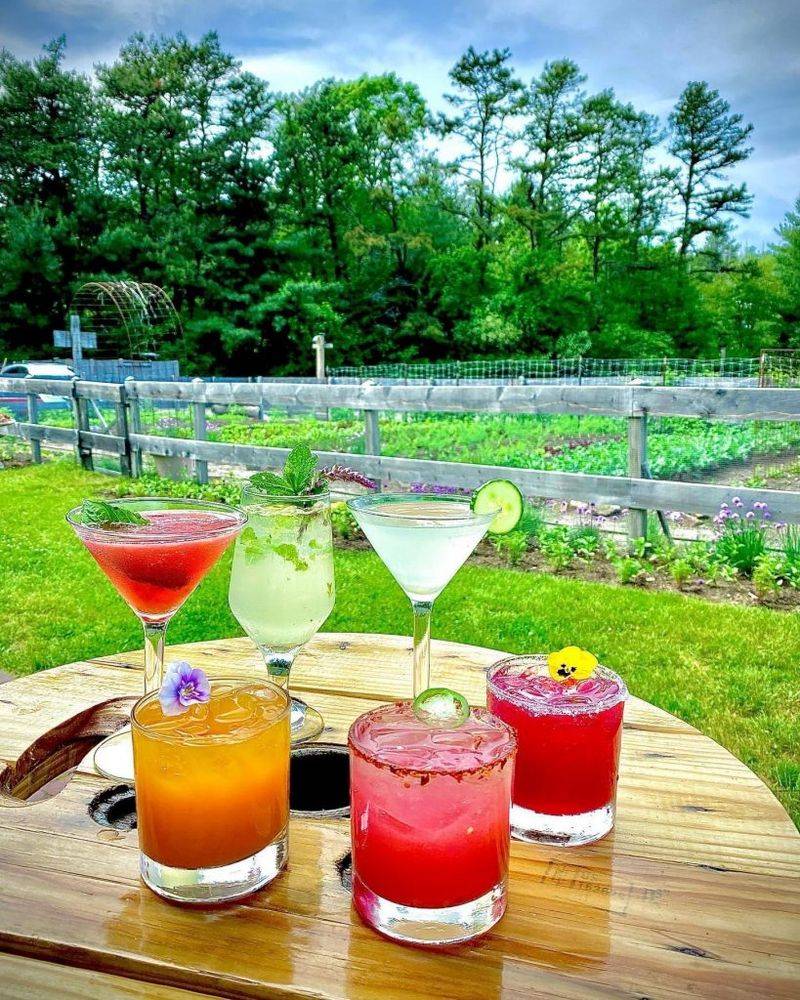 Farm-to-Table Dining