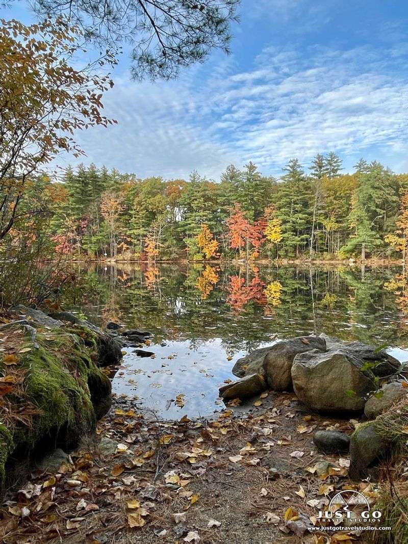 Pawtuckaway North Mountain Trail, New Hampshire