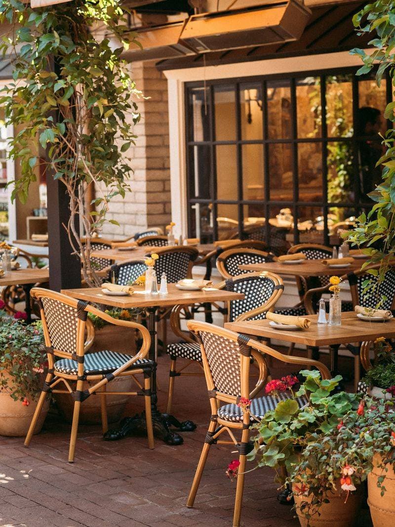 Indulge in Culinary Delights