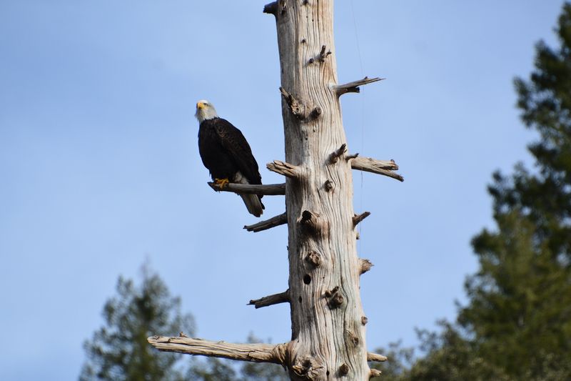 Abundant Wildlife Creates Natural Wonderland for Nature Lovers