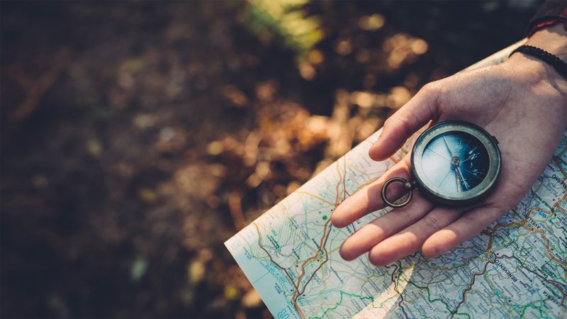Have real navigation, not just a phone