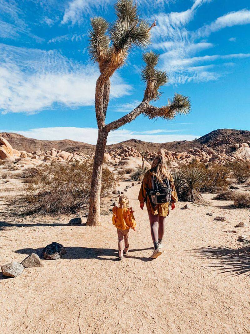 Hidden Valley Nature Trail — Joshua Tree National Park, CA