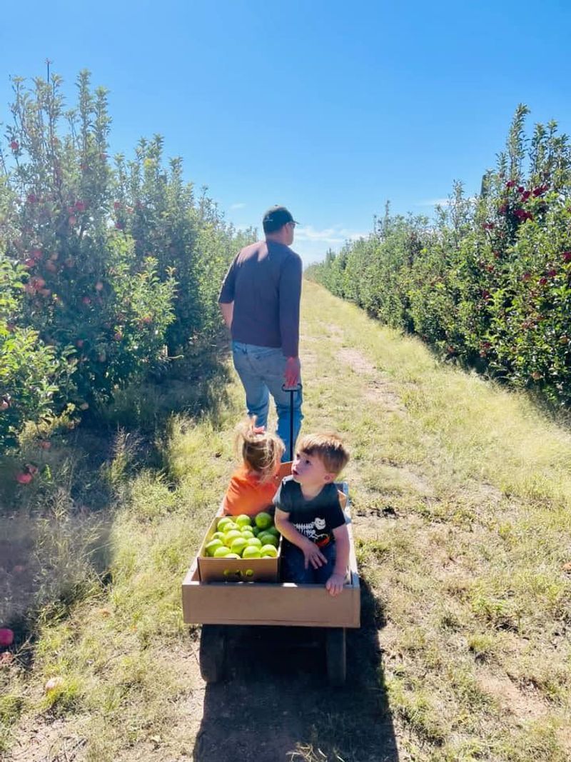 Apple Annie’s Orchard — Willcox, AZ