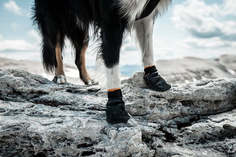 Non-Stop Dogwear Protector Bootie — Best Mushing-Style Boot