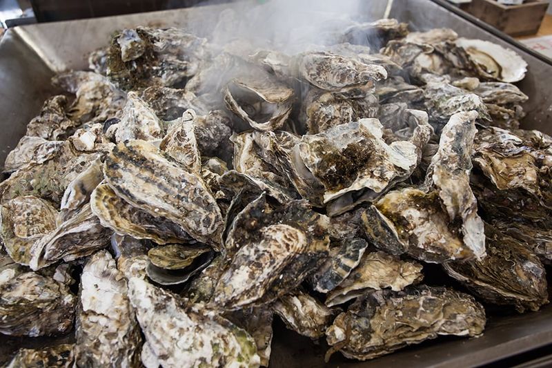 Morris Family Shellfish Farm: The Oyster Secret