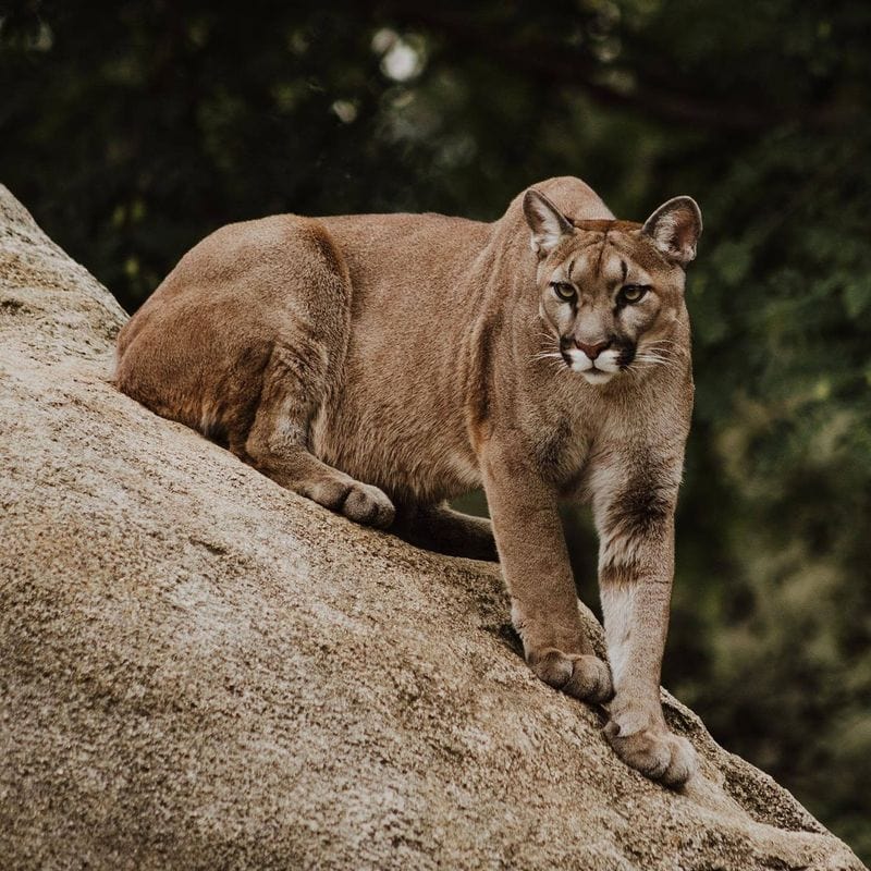 Yosemite National Park – Valley and Beyond