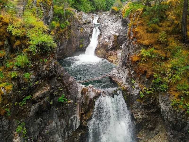 Discover Hidden Waterfalls in Ancient Forests