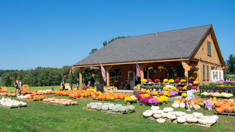 Educational Field Trips for School Groups Every October