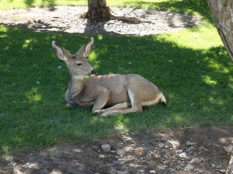Hells Canyon National Recreation Area