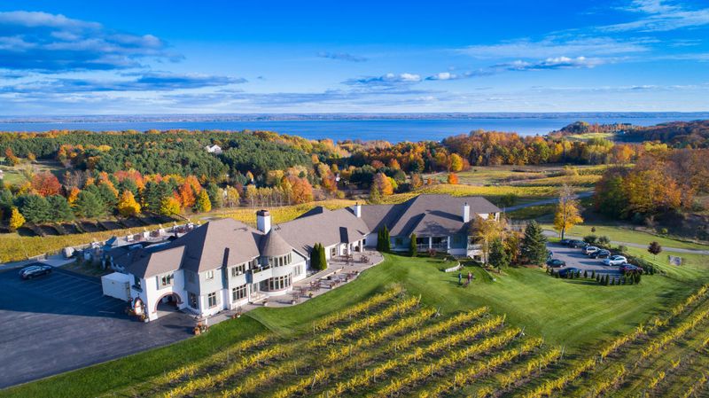 Vineyards with Views That Make the Wine Taste Better