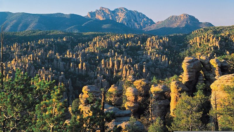 Echo Canyon Loop (Chiricahua National Monument)