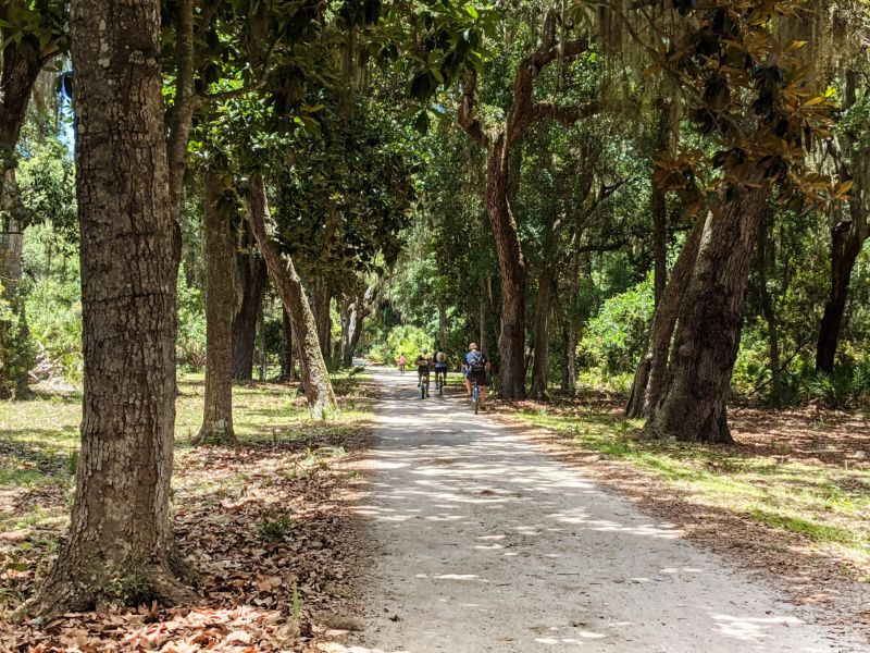 Cumberland Island, Georgia
