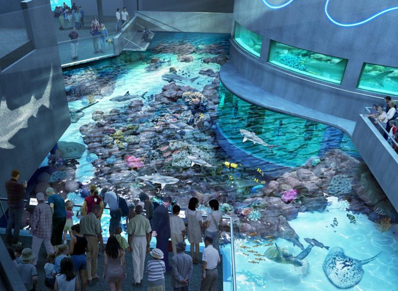National Aquarium — Baltimore, MD